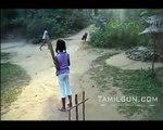 Dog Playing Cricket.