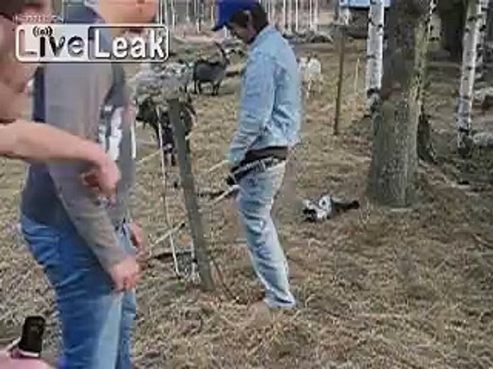 Peeing on an Electric Fence