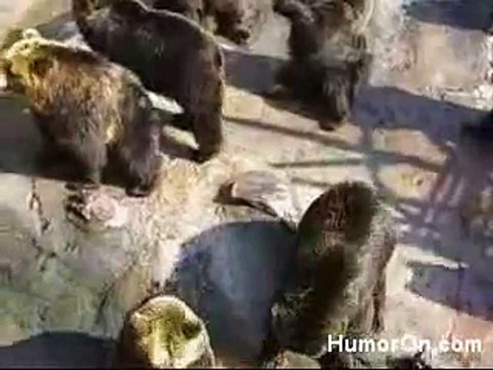 Smart Waving Bear