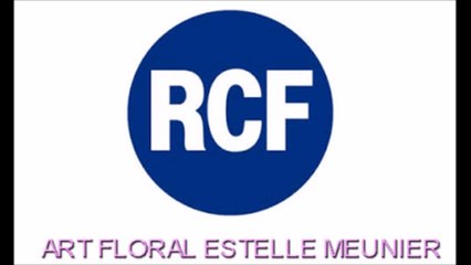 Interview Destin d'une Brindille sur RCF