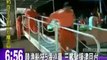 Taiwanese coast guard chases Chinese fishing boat that carries 5 Taiwanese officers on board