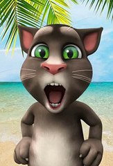 Mobile Cat Very Amazing Funy