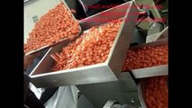 high speed candy wrapping machine