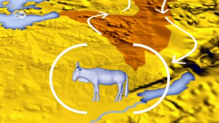 Tierarten im Klimawandel | Projekt Zukunft