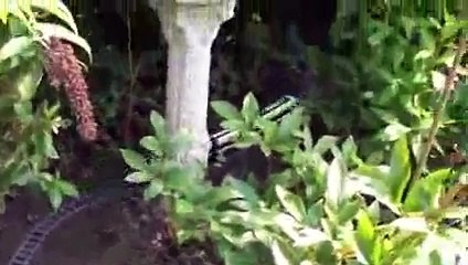 Garden Railway Lego train