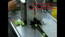 automatic high speed lollipop wrapping machine
