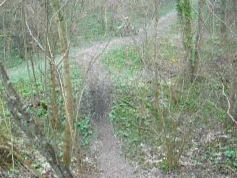 julien ds les bois avk sa kx 125