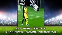 Ibrahimovic «câline» un Nantais, zap sport insolite
