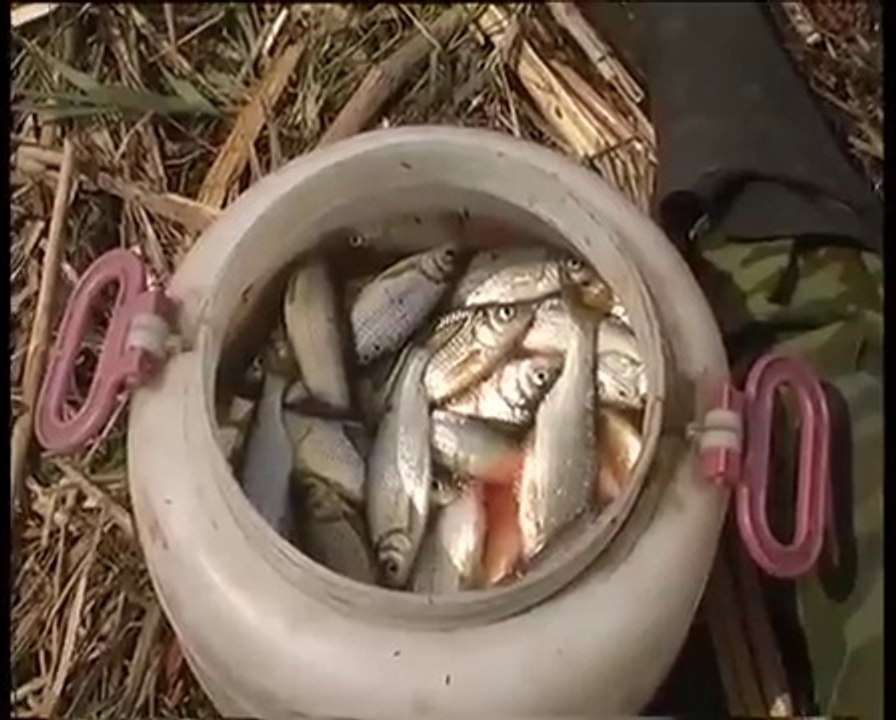 Астраханская рыбалка, ловля воблы
