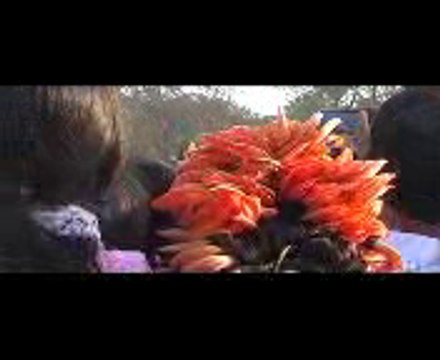 Breaking News on Holi-Rabindranath Tagore's Shantiniketan Basanta Utsav