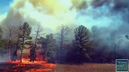 Impressionnant : la vitesse de propagation d'un incendie
