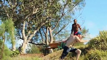 Des plongeons extraordinaires !