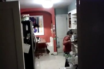 Danse devant le lave vaisselle