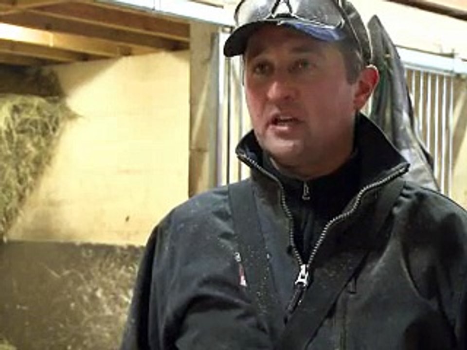 Prix d'Amérique: Ready Cash, en piste à Vincennes pour un deuxième sacre