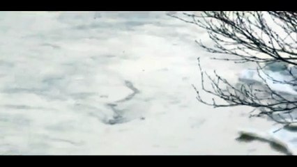 Le monstre du Loch Ness islandais ?