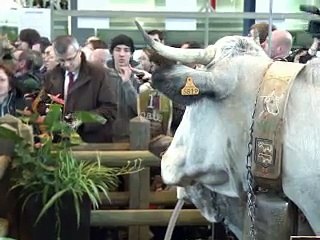 Sarkozy au Salon de l'agriculture en candidat de la défense du monde rural