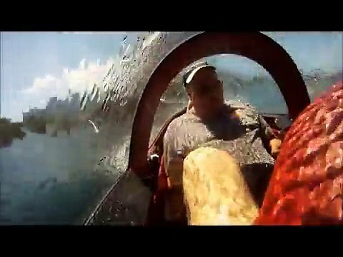 Plongées sous-marines