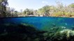 Plongée Cenotes II