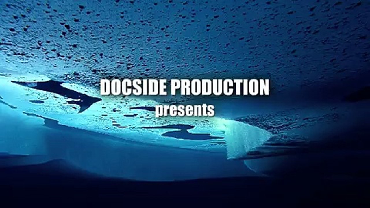 Plongée sous la glace du Pôle Nord