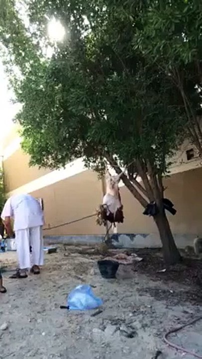 Bakray ki khaal