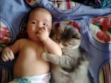 Cute cat loves baby - from  funny and cute cats and babies collection