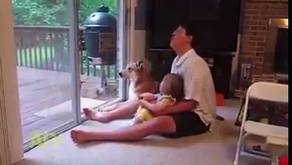 Un chien chante avec une petite fille et son papa !