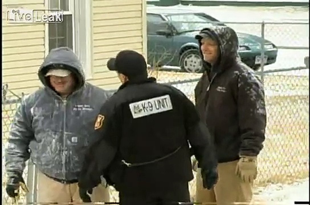 HEYYYYYYY..... Runaway Bull !  !   !