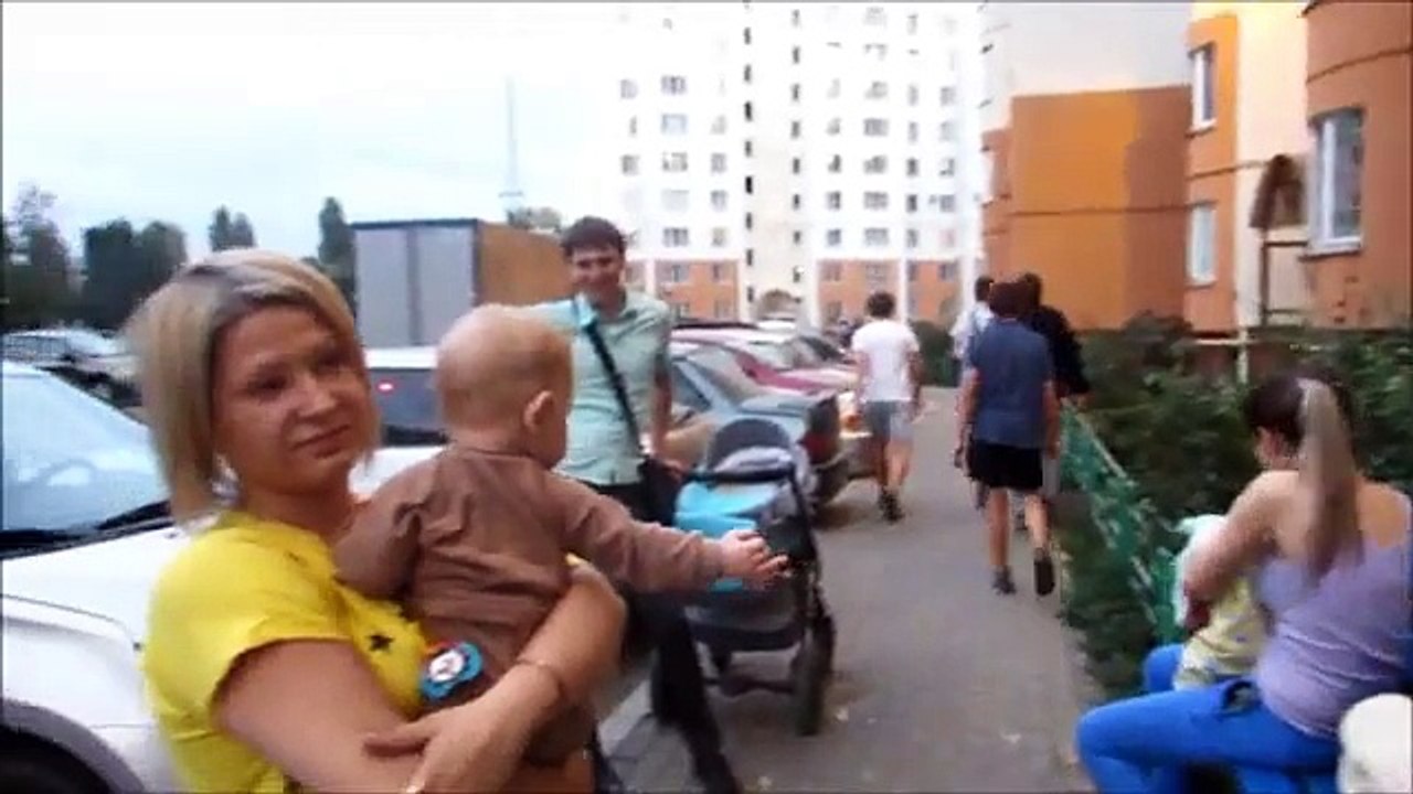 Cadela grávida que havia sido enterrada embaixo de calçada é resgatada com vida; Veja vídeo