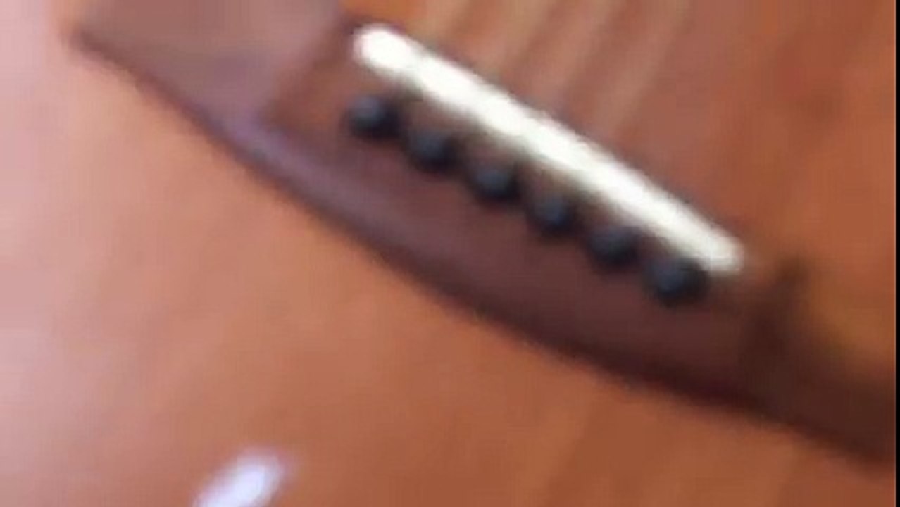 (Revenge of the cats) kedinin intikamı