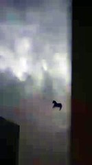 بارش کے وقت آسمان میں ایک گھوڑا آسمان کے طرف بگتا هوا نظر آیا الله اکبر الله اکبر