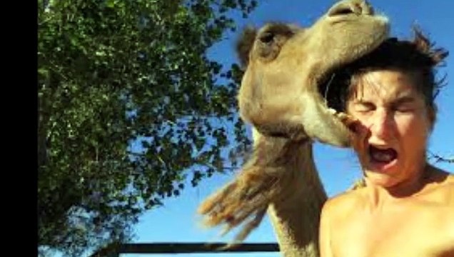 selfies gone horribly wrong