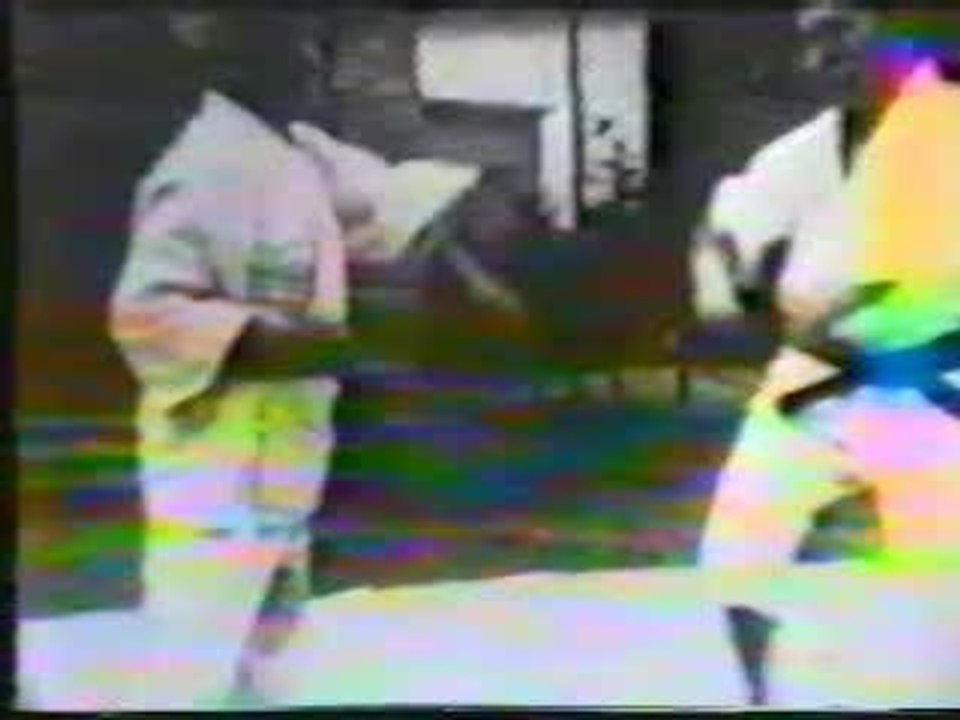 Funakoshi Kihon Ippon