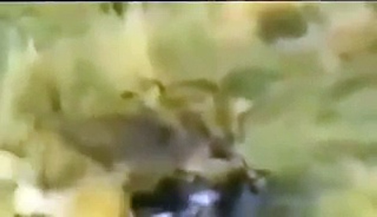 Have you ever seen an eagle catching a deer and taking into sky