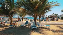 Jamaica in 4K
