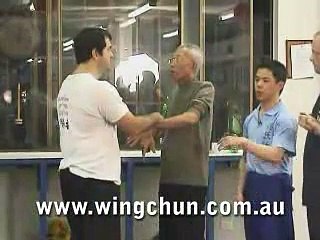 Sigung Chu Shong Tin's Sil Lim Tao #1