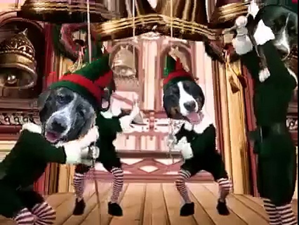Funny Dogs Singing Christmas Songs