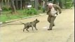 SHOCKING Dog Attack   Brave Guy Fights Vicious Dog