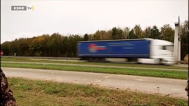 Fail : il fait voler un faucon sur l'autoroute, mauvaise idée !