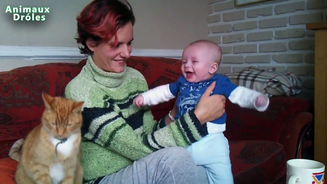 Bébés drôles rire hystérique à chiens et chats Compilation 2015 [HD VIDEO]
