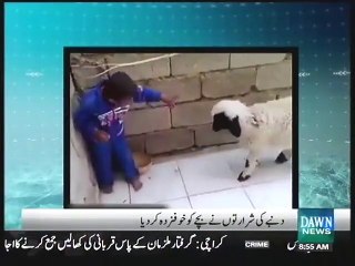 Скачать видео: Dumbay Ki Shararto Nay Bachay Ko Khufzada Kardiya