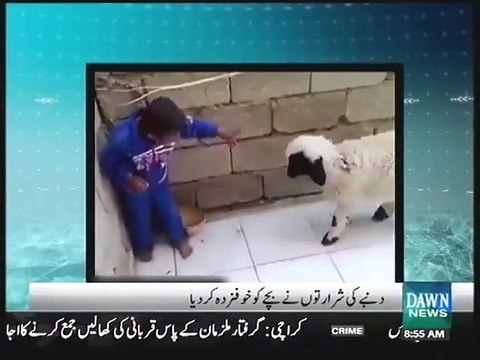 Dumbay Ki Shararto Nay Bachay Ko Khufzada Kardiya