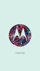 Motorola's Hidden Demo Video