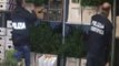 'Ndrangheta, 50 arresti tra Reggio Calabria e Roma (28.09.15)