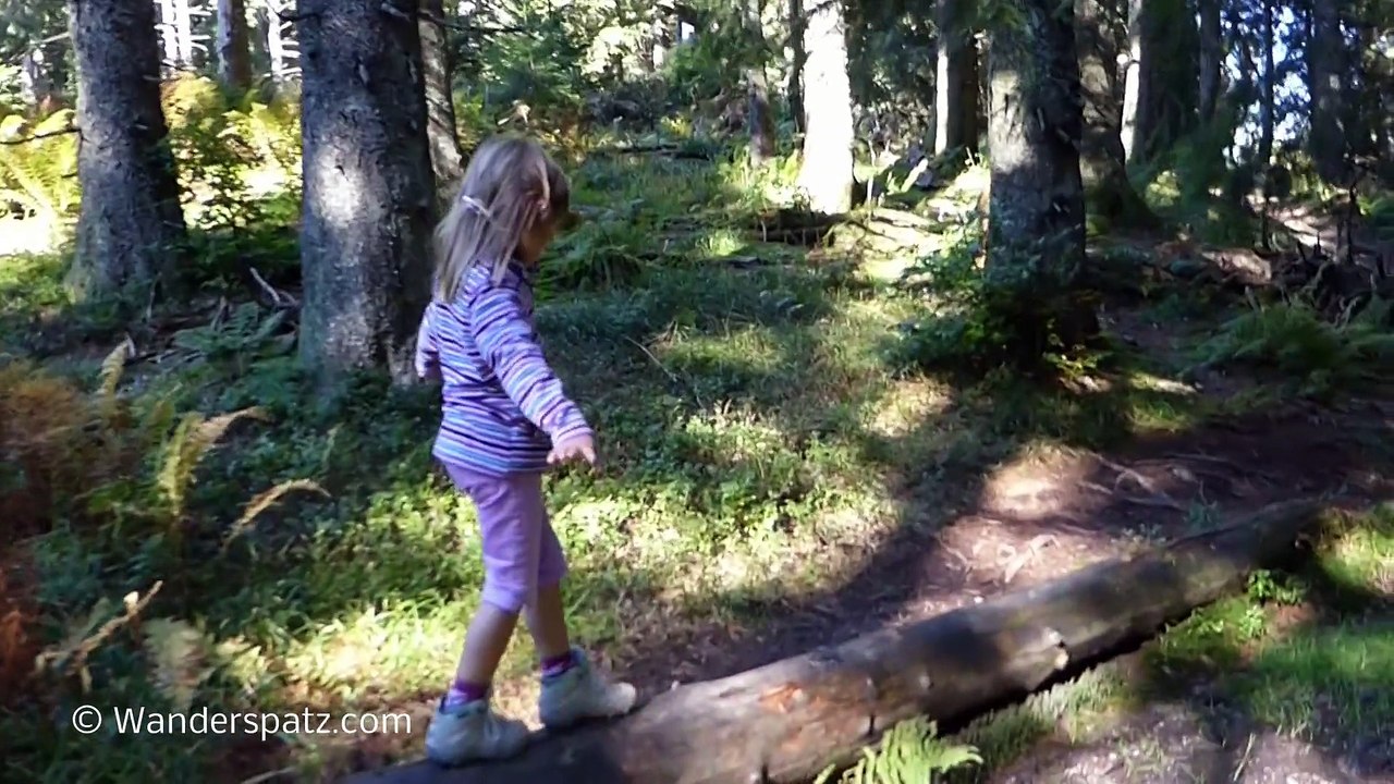 Gschwender Horn mit Abfahrt über Alpsee Coaster (Allgäu)
