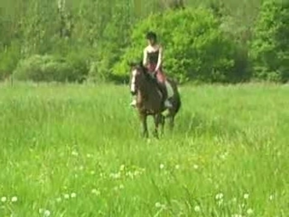 Ballade25.04 014