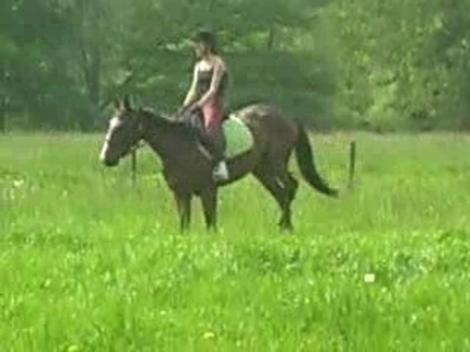 Ballade25.04 019