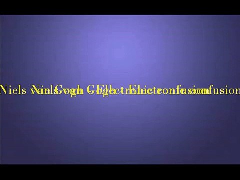 Niels van Gogh - Electronic confusion