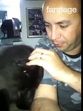 Il gatto che ricambia le carezze del suo padrone