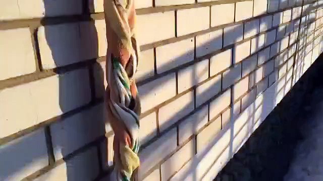 Как кот попал домой!