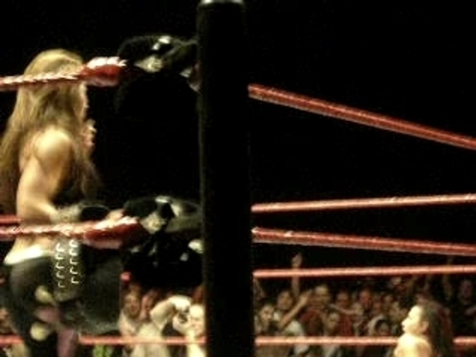 Mickie james nouvelle championne